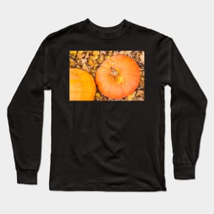 Two pumpkins Long Sleeve T-Shirt